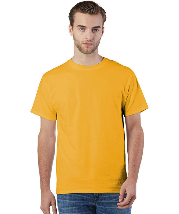 variant:C Gold