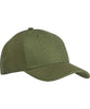 variant:Olive:collection-default